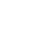 Main Website